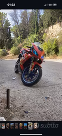 Aprilia RS 50 Spain’s