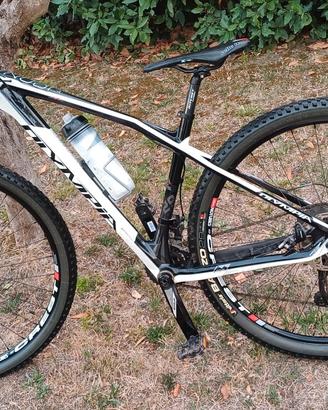 MTB Olympia da 29 in Carbonio