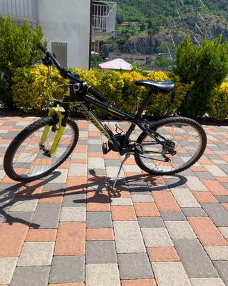 Bicicletta da bambino/a