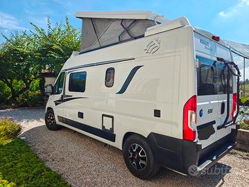 Camper puro Knaus Boxlife 600MQ