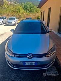 Volkswagen Golf Variant Business 1.6 TDI 5p. Comfo
