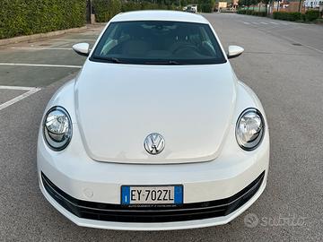 Maggiolino allestimento CUP