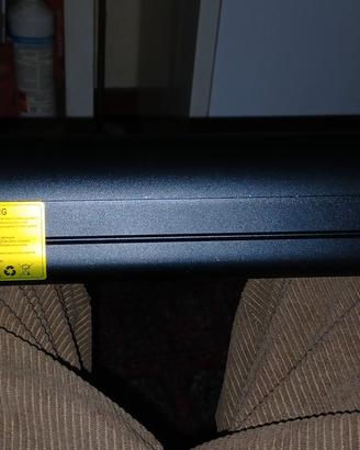 BIRD Bike Batteria Originale 36V