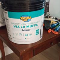 Vernice antimuffa bianca 10L – idropittura traspir