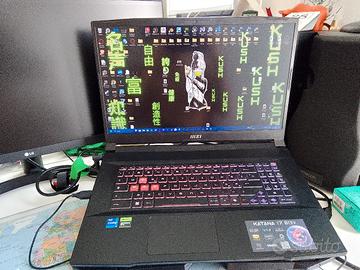 MSI Katana 17, i7-13th,4070,32gb DDR5 (trattabile)