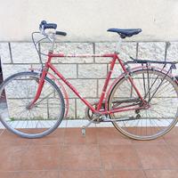 🚴♂️ Bici da Corsa Vintage "Vicini Antares"