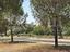 Immagine 7