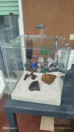 acquario 