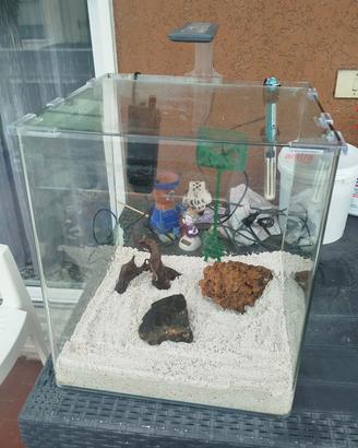 acquario 
