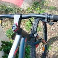 bicicletta MTB
