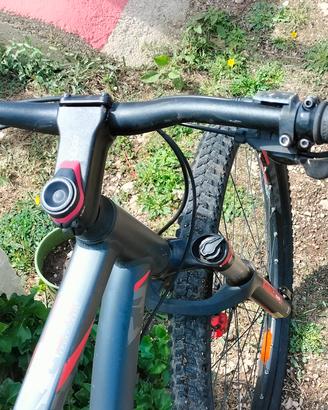 bicicletta MTB