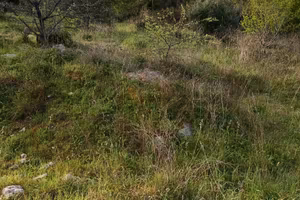 Terreno agricolo