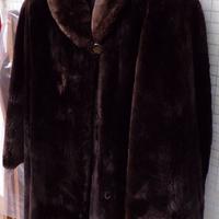 Pelliccia di Castorino