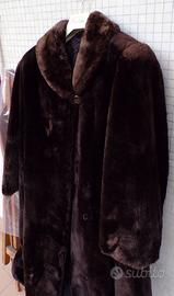 Pelliccia di Castorino