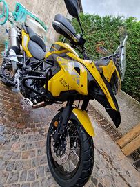 Benelli TRK 502 X (Kit valige laterali extra)