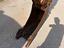 Immagine 15