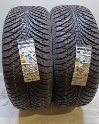 2 GOMME 255 55 19 GOODYEAR NOUVE 4STAG RIFC3