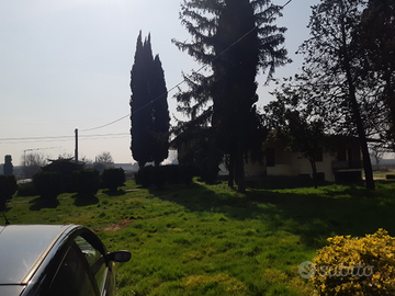 Villa singola piano rialzato e seminterrato