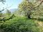 Immagine 20