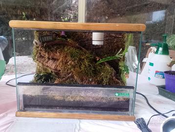 TERRARIO BIOATTIVO RETTILI E INVERTEBRATI