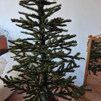 Albero di Natale vintage con vaso h. 170cm.