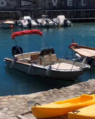 Boston Whaler Outrage 18