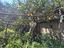 Immagine 26