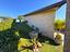 Immagine 26