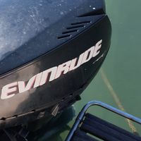 Motore evinrude e tec 40 hp
