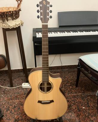 Chitarra acustica professionale nuova