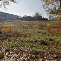 Terreno Residenziale Cerea [Cod. rif 218VCG]