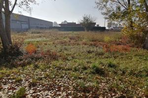 Terreno Residenziale Cerea [Cod. rif 218VCG]