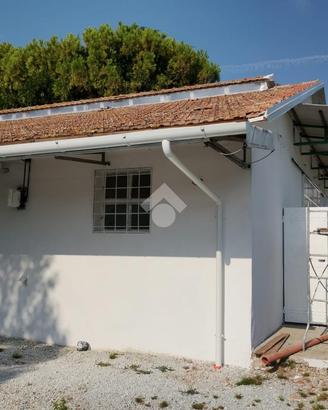 CAPANNONE A SAVIGNANO SUL RUBICONE