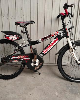 Bicicletta da bambino 20"