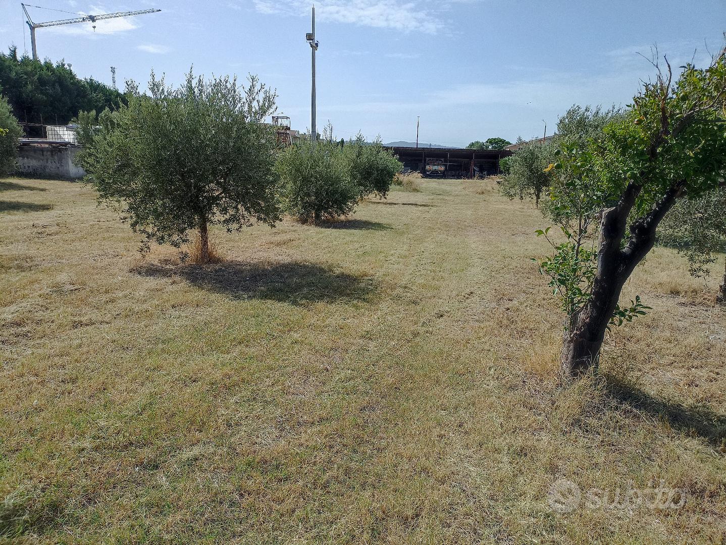 Terreno agricolo - Vista 3