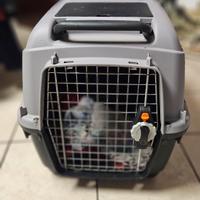 trasportino cani 8-25kg