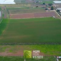 Terreno 7 HA fronte strada con pozzo | TR487