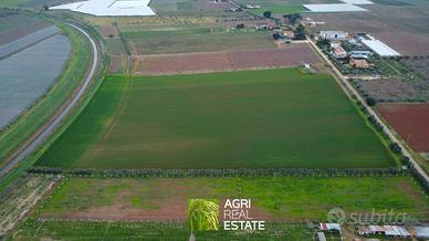 Terreno 7 HA fronte strada con pozzo | TR487