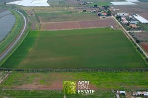 Terreno 7 HA fronte strada con pozzo | TR487