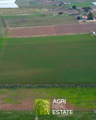 Terreno 7 HA fronte strada con pozzo | TR487