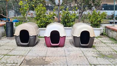 Cuccia per cane