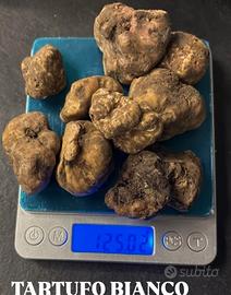 Tartufi bianco pregiato