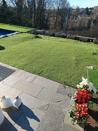 Erba  Sintetica varie metrature