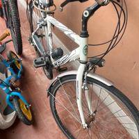 Bicicletta 28 uomo Frera