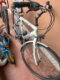 Bicicletta 28 uomo Frera