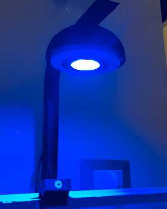 Accessori Acquario