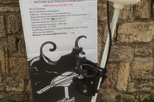 Motore fuoribordo elettrico 62 LBs