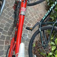Santa cruz bullit