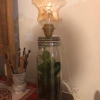 Lampada con terrario