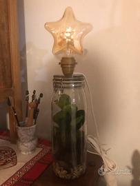 Lampada con terrario